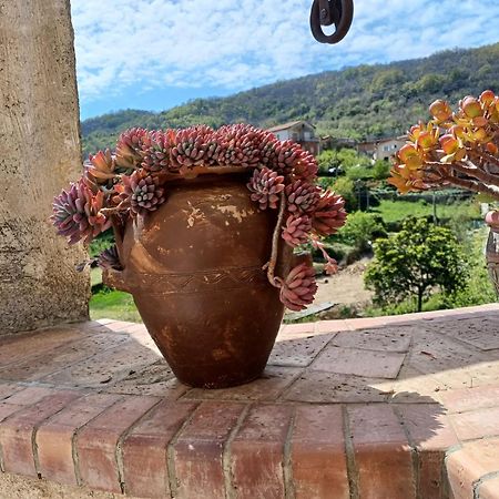 Country House B&B Antica Dimora Del Sole Camerota Exteriör bild