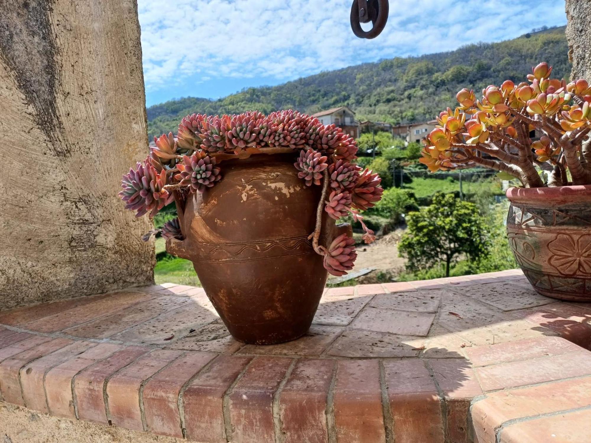 Country House B&B Antica Dimora Del Sole Camerota Exteriör bild