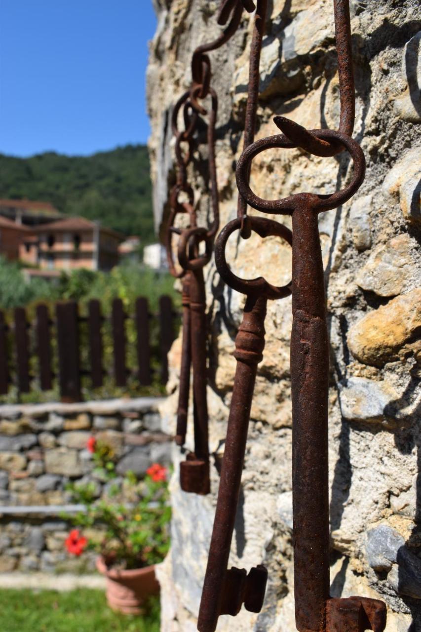 Country House B&B Antica Dimora Del Sole Camerota Exteriör bild