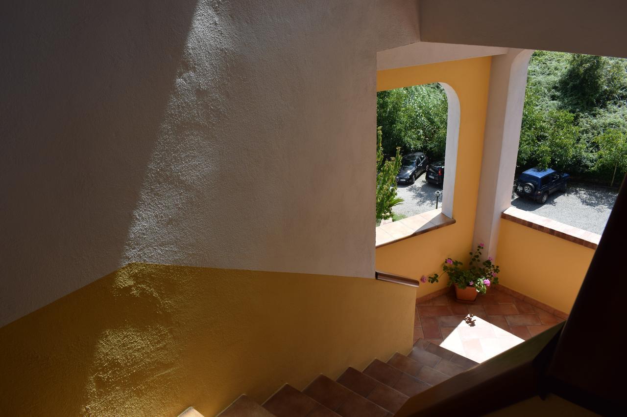 Country House B&B Antica Dimora Del Sole Camerota Exteriör bild